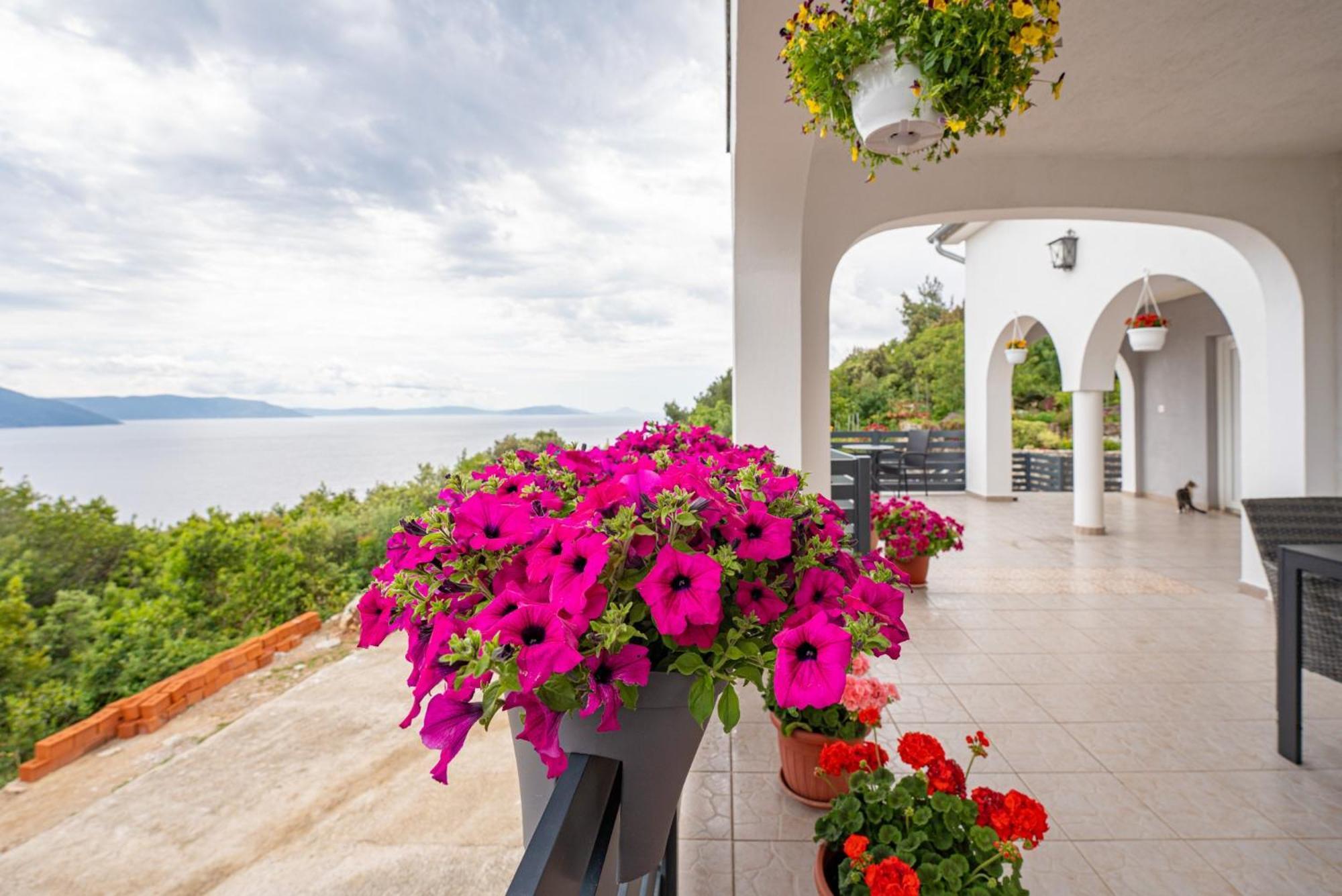 Villa Paradiso In Plomin - Istrien 外观 照片