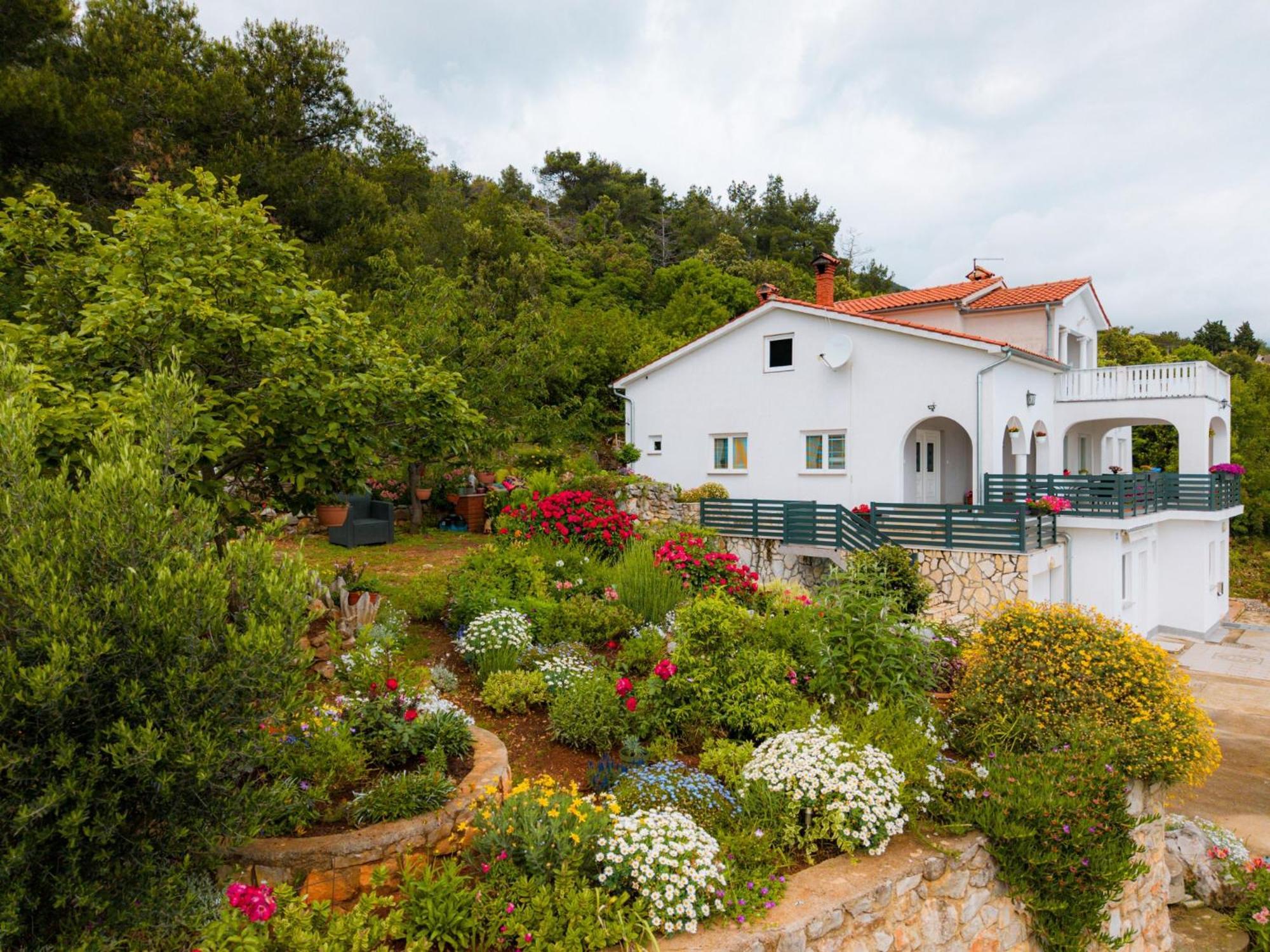 Villa Paradiso In Plomin - Istrien 外观 照片